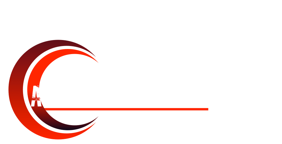 Welcome to The Black Academy of Arts and Letters